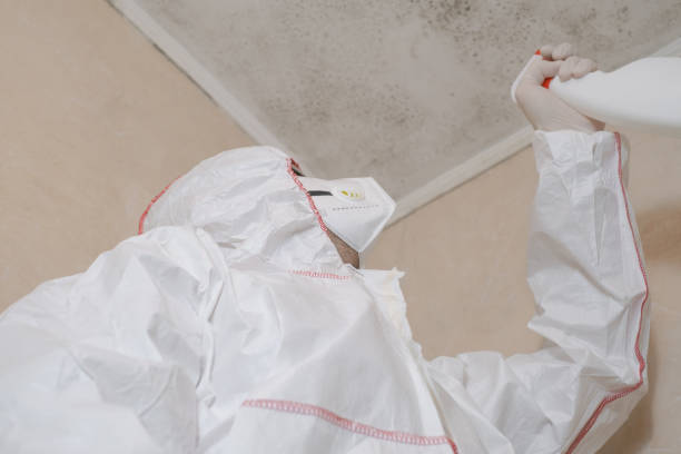 Best Commercial Mold Removal  in Port Jefferson, NY